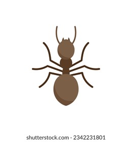 Ant icon. Flat illustration of Ant vector icon for web design isolated
