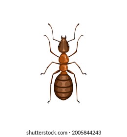 Icono de hormiga, control de plagas de insectos, servicio de exterminación y disección de parásitos, vector aislado. Símbolo de control de plagas de plaguicidas para uso doméstico y agrícola