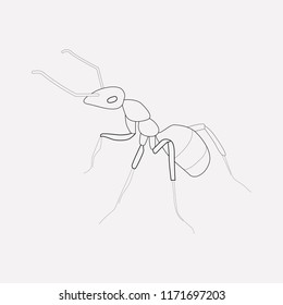 Ant icon line element. Vector illustration of ant icon line isolated on clean background for your web mobile app logo design.