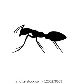Ant the icon, logo on a white background