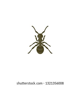 ant icon on a white background