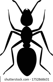 ant icon on white background. ant animal sign. black ant symbol. 