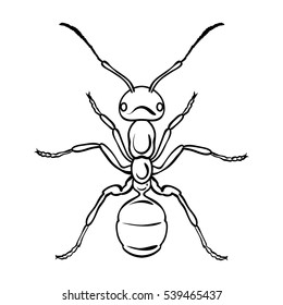 Ant Icon Outline Style Isolated On Stock Vector (Royalty Free ...