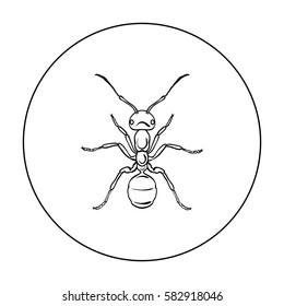Ant icon in outline style isolated on white background. Insects symbol stock vector illustration.