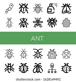 ant icon set. Collection of Worm, Stonefly, Bug, Weevil, Bed bug, Mosquito, Insecticide, Moth, Woodlouse, Louse, Ant, Cockroach, Ladybug icons