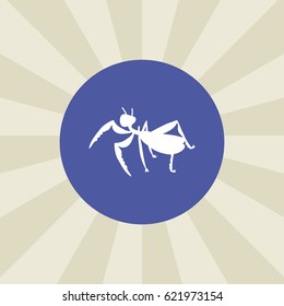 ant icon. sign design. background