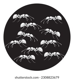 Ant icon sign vector symbol.Vector illustration