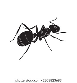 Ant icon sign vector symbol.Vector illustration