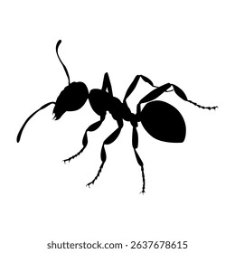 Ant icon symbol sign vector