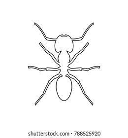 Ant icon, vector illustration.