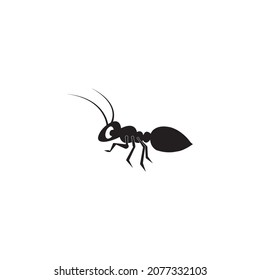 Ant icon vector illustration logo design.