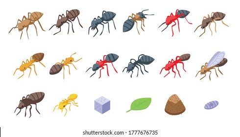 Ant icons set. Isometric set of ant vector icons for web design isolated on white background