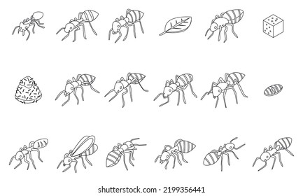 Ant Icons Set. Isometric Set Of Ant Vector Icons Outline Thin Lne Isolated On White