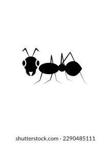 ant icon,vector best flat icon.