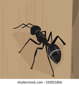 Ant illustration