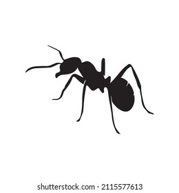 ant illustration, insect icon, animal