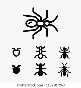 Ant, insect, bug, termite and ants icon vector