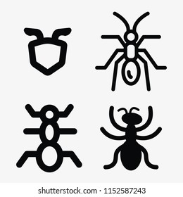 Ant, insect, bug, termite and ants icon vector