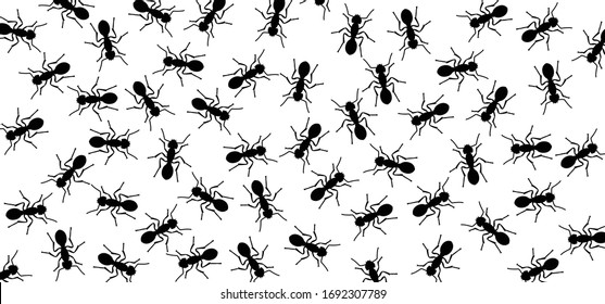 Ant insect, emmet insects Pismire banner Funny vector ants workers icons  A line of worker Arthrpod marching Search Silhouette seamless pattern Representing Teamwork Pest snthill sign Red or black