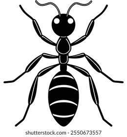 Ant insect flat vector illustration on a white background