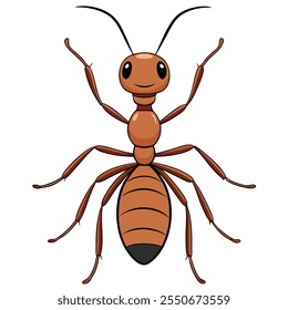 Ant insect flat vector illustration on a white background