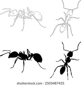 Ant insect shapes. Solid ant silhouette profile and top down vector art on isolated background.