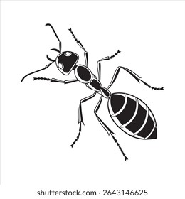 ant insect silhouette vector art illustration on a white background