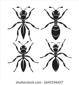 ant insect silhouette vector art illustration on a white background