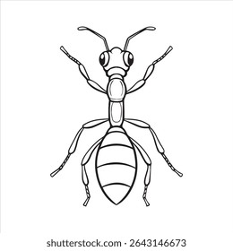 ant insect silhouette vector art illustration on a white background