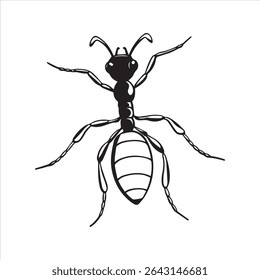 ant insect silhouette vector art illustration on a white background