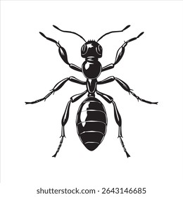 ant insect silhouette vector art illustration on a white background