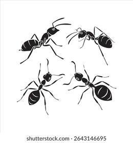 ant insect silhouette vector art illustration on a white background