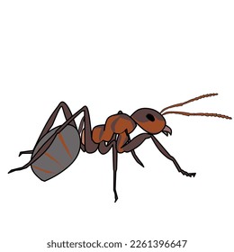 Ant. Ilustración vectorial marrón de insectos aislada en fondo blanco