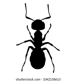 Ant, insect, wrecker, parasite (vector, silhouette, outline, black, white background)