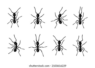 Ant insekt schwarze Silhouetten, Vektorgrafik einzeln auf weißem Hintergrund. Ant Kolonie Fauna schwarze Silhouetten Symbol Spezies Sammlung.