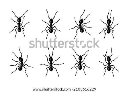 Ant insects black silhouettes vector illustration isolated on white background. Ant colony fauna black silhouettes symbol species collection.