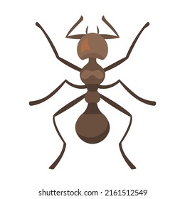 Ilustración vectorial plana de los insectos de hormiga. Veneno y equipo para la prevención de plagas, insectos aislados en blanco