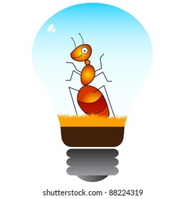 ant inside in lightbulb