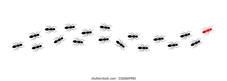 Ant leader trail. Worker ants colony line route teamwork. Vector isolated on white.