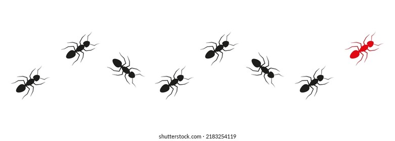 Ant leader trail. Worker ants colony line route teamwork. Vector isolated on white.