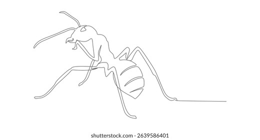 ant line art vector design illustration