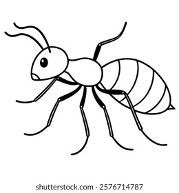 ant line art vector on white background