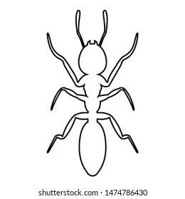 Ant line icon, logo isolated on white background
