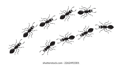 Antline-Trail, kleine Schädlingskette, schwarze Insektenmarschade, Tierkolonie, schwarze Silhouetten-Bug-Draufsicht einzeln auf weißem Hintergrund. Vektorgrafik