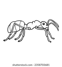 ant line vector illustration,isolated on white background,top view