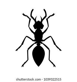 ant logo design template