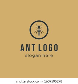 Ant Logo Design template. Vector Illustration