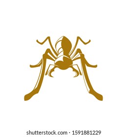Ant logo front view full body