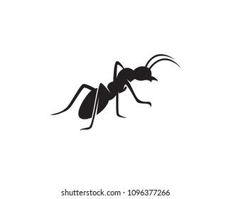 Ant Logo Template Vector Illustration Design Stock Vector (Royalty Free ...