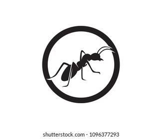 Ant Logo template vector illustration design

